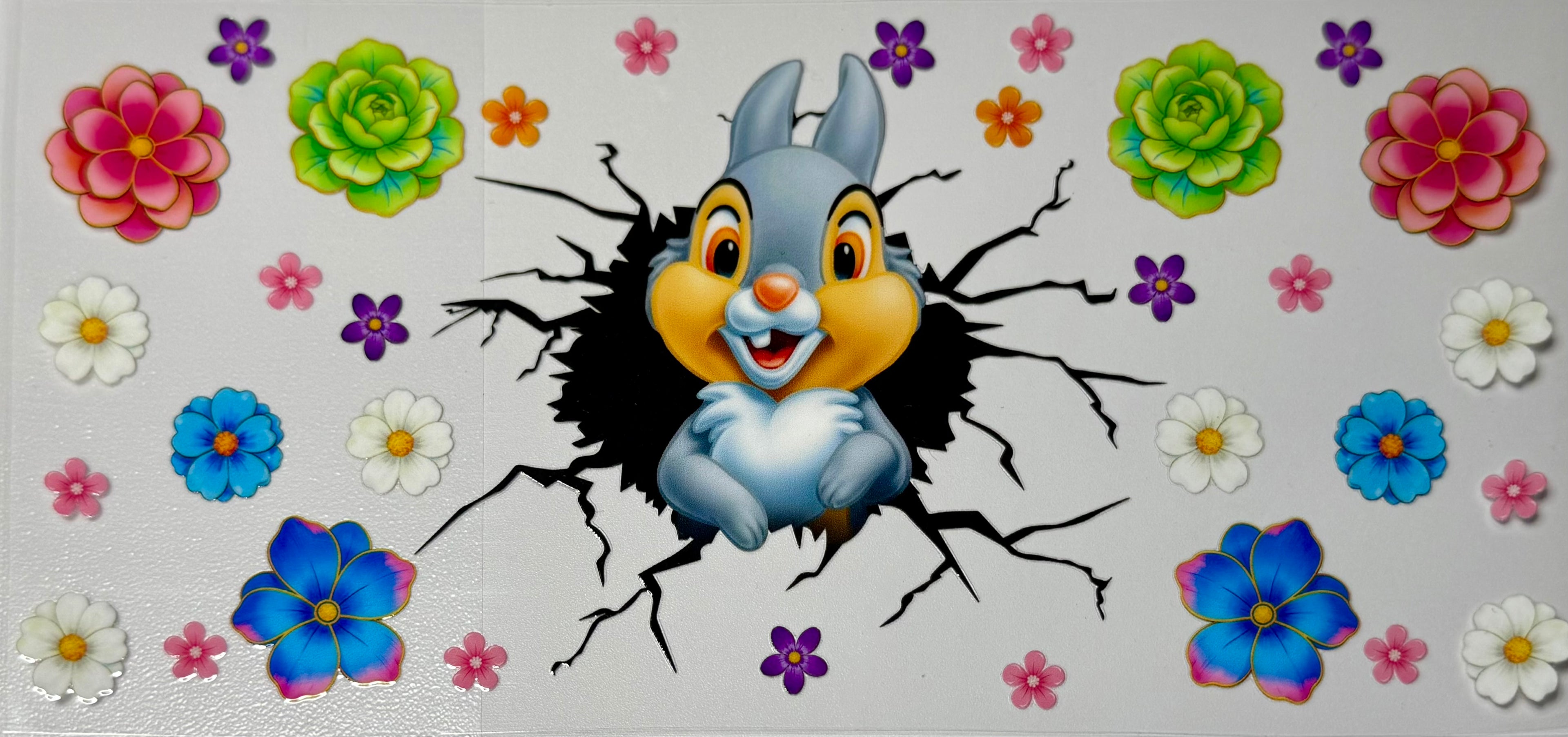 Cartoon Wraps