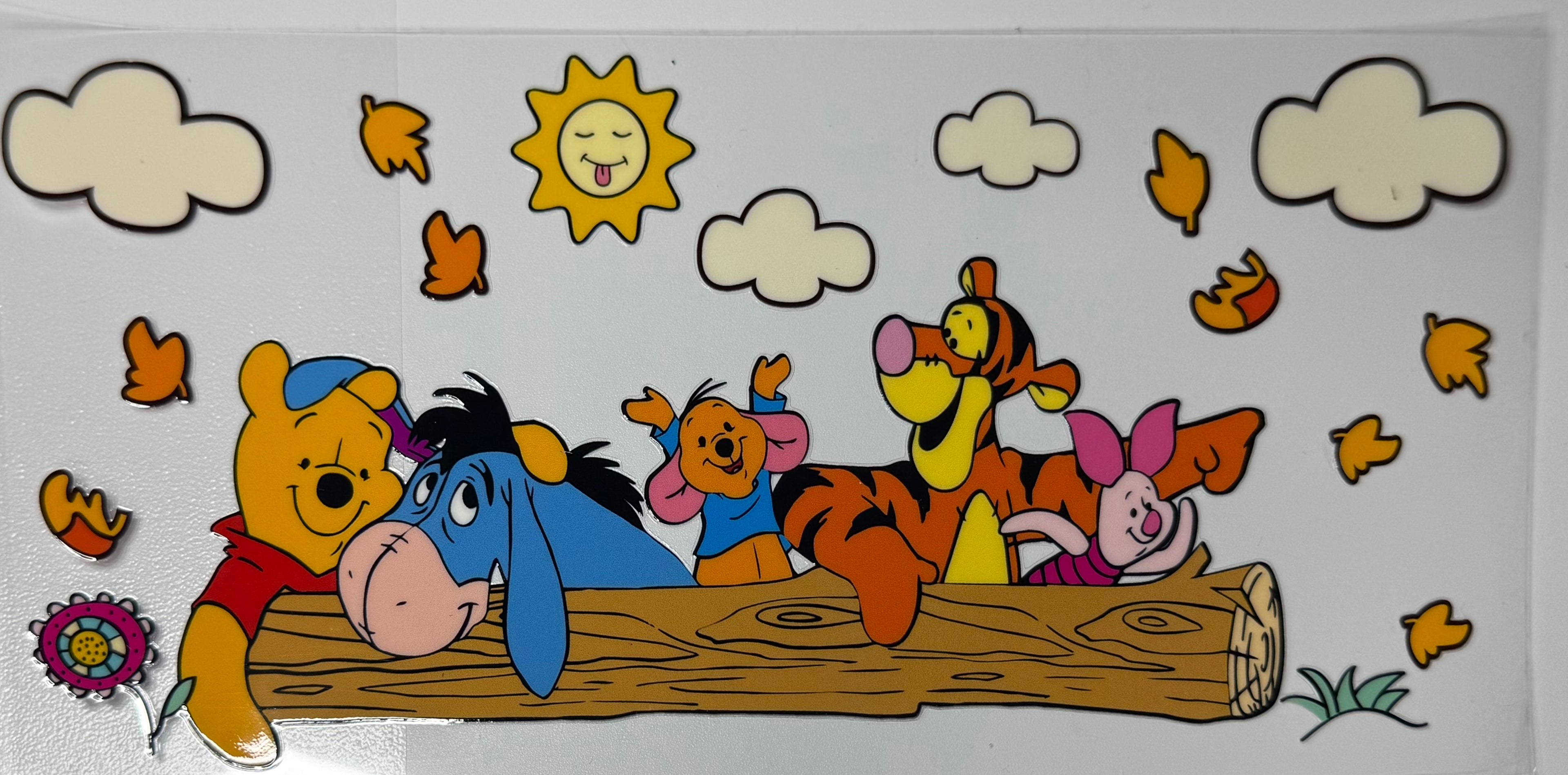 Cartoon Wraps
