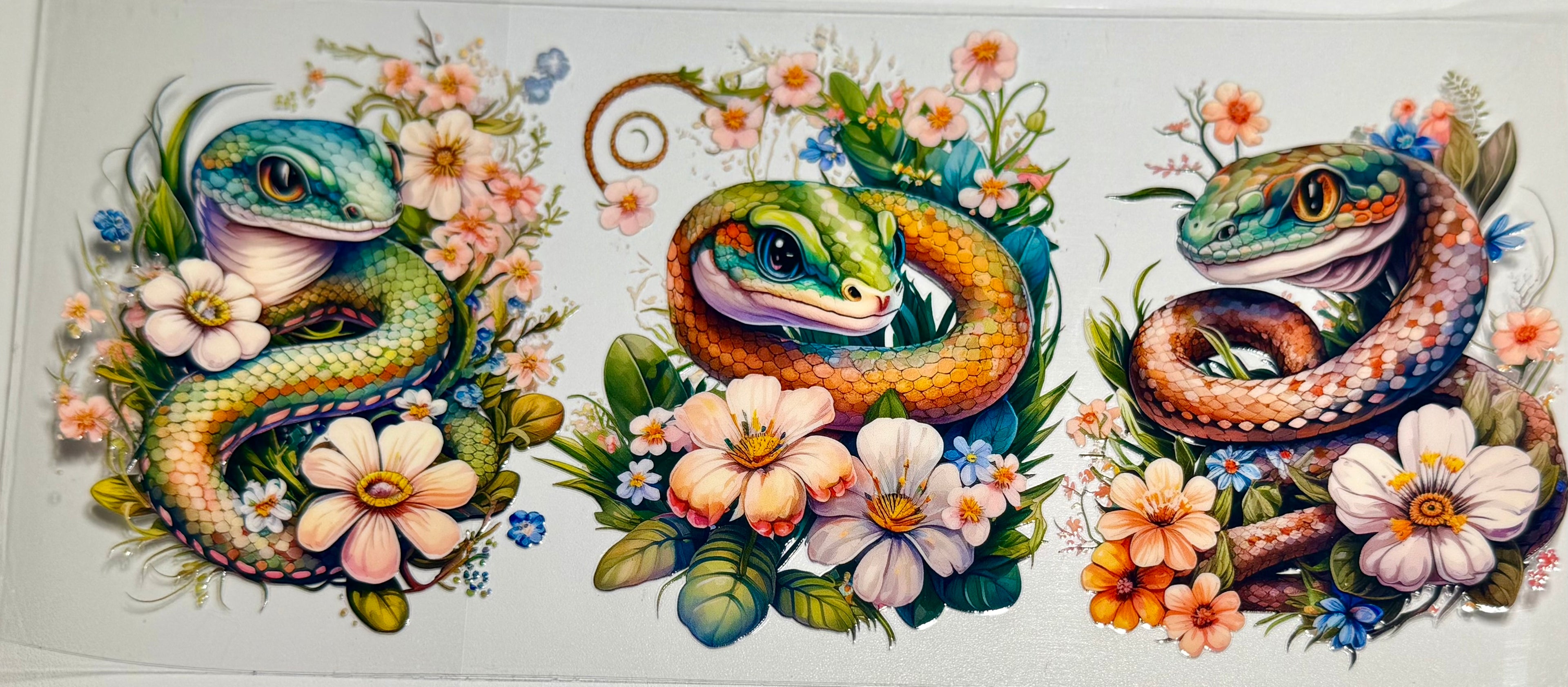 Animals Wraps