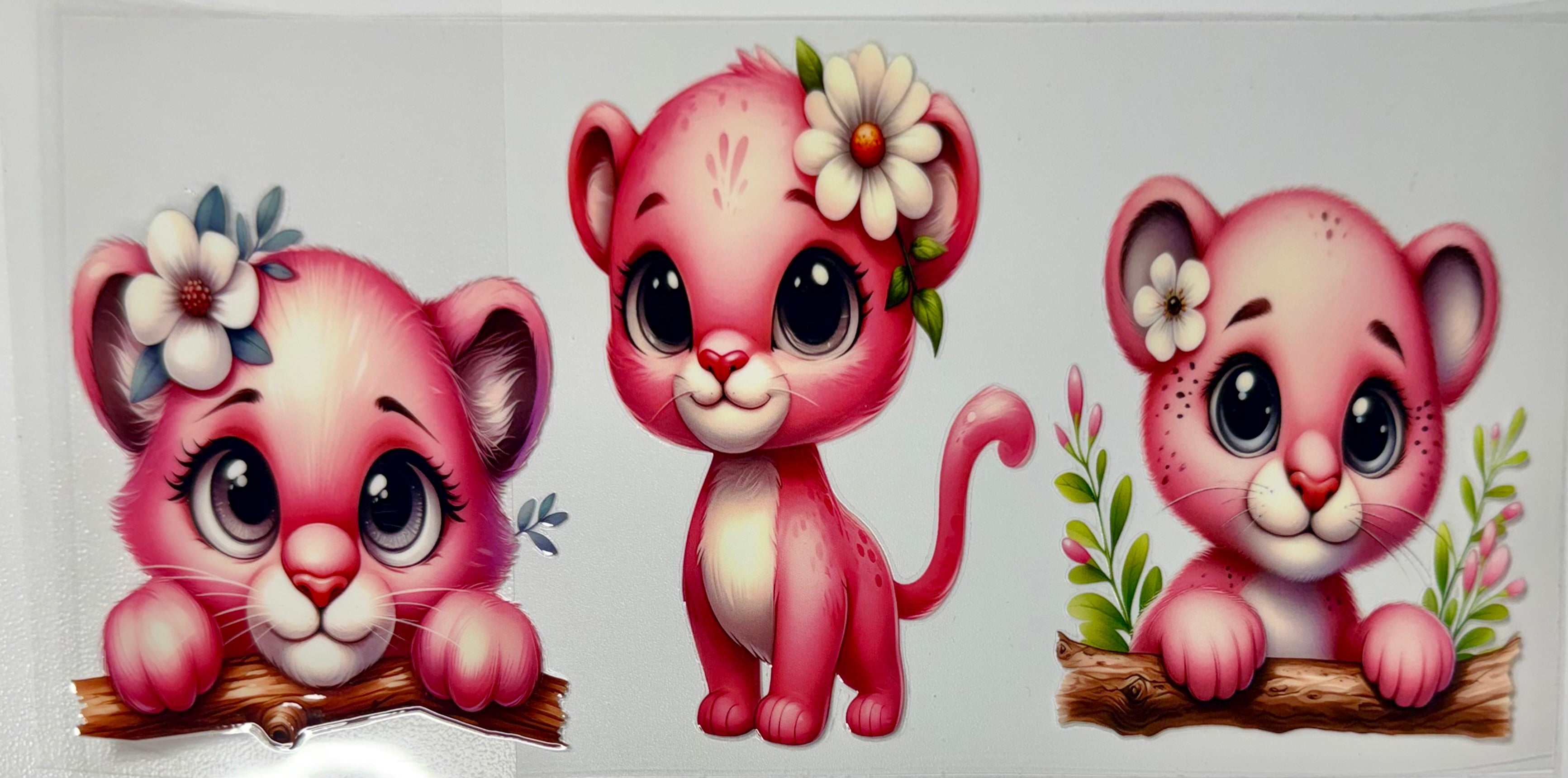 Cartoon Wraps