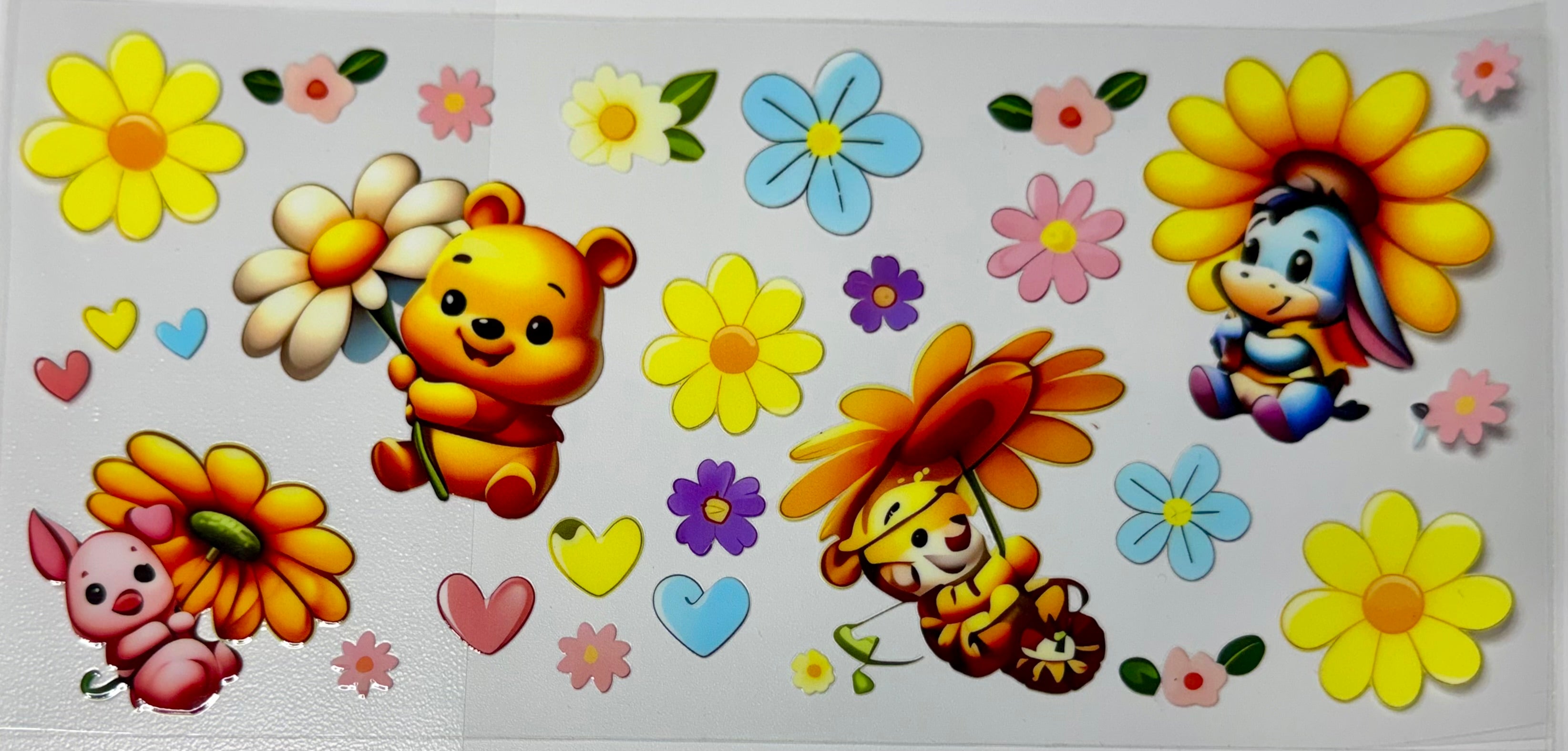 Cartoon Wraps