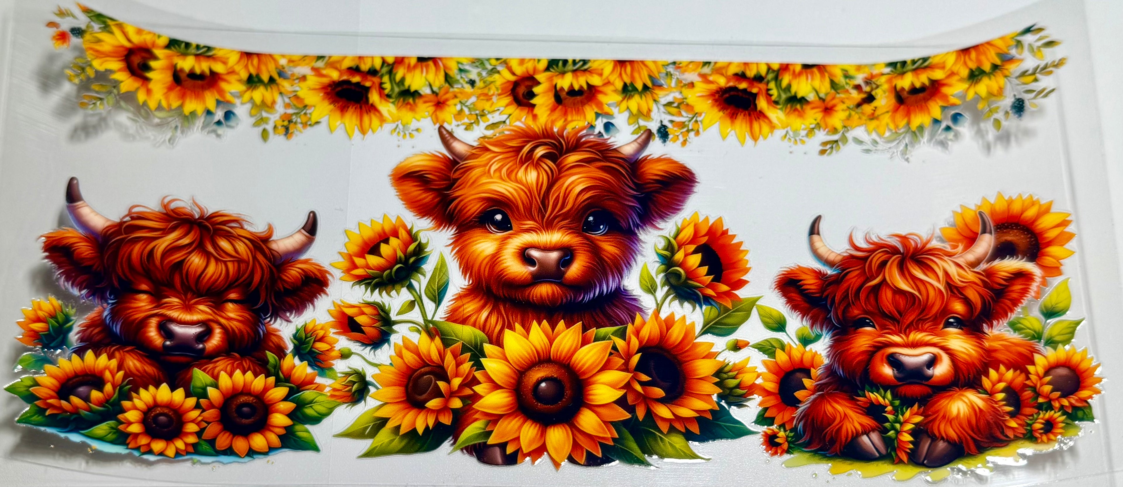 Animals Wraps