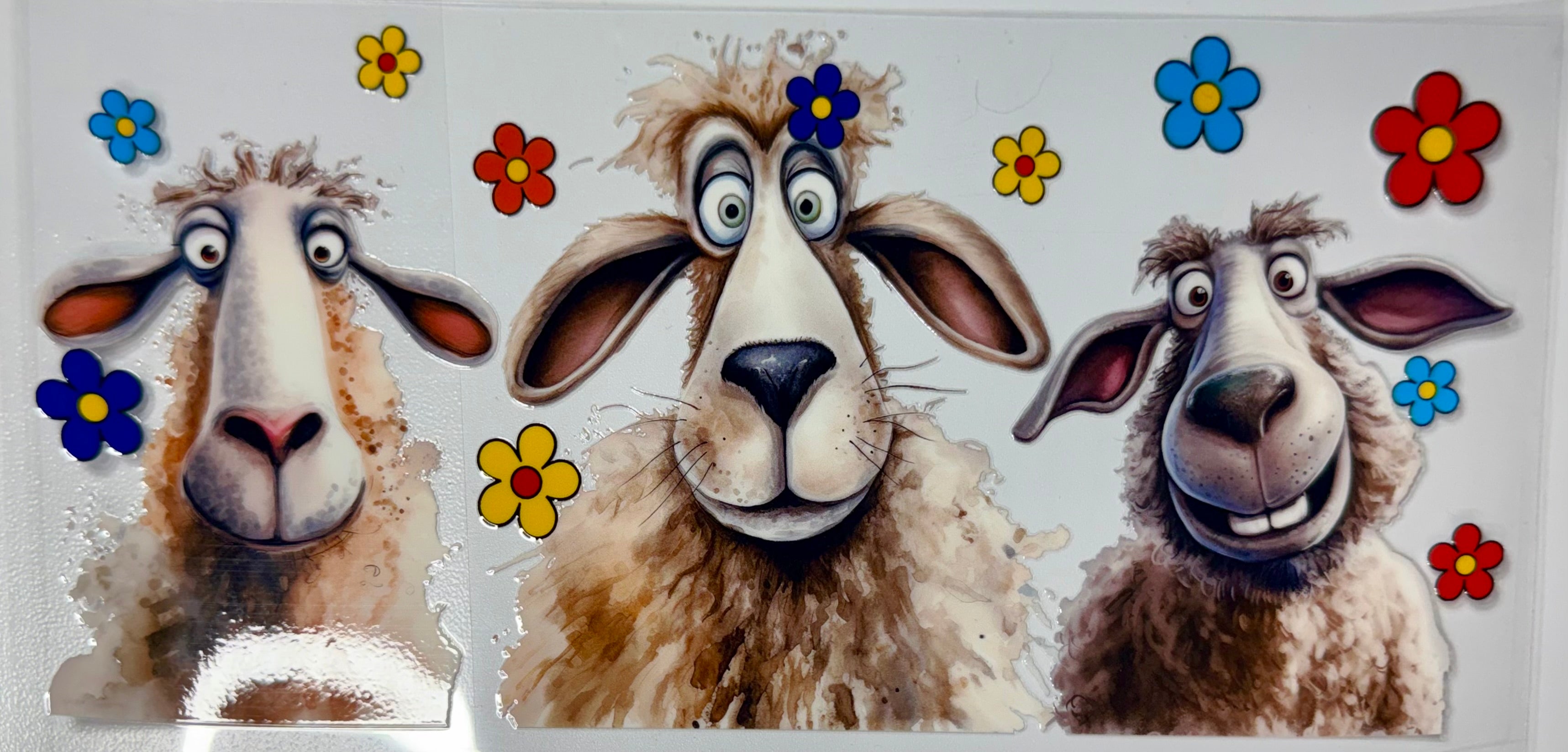 Cartoon Wraps