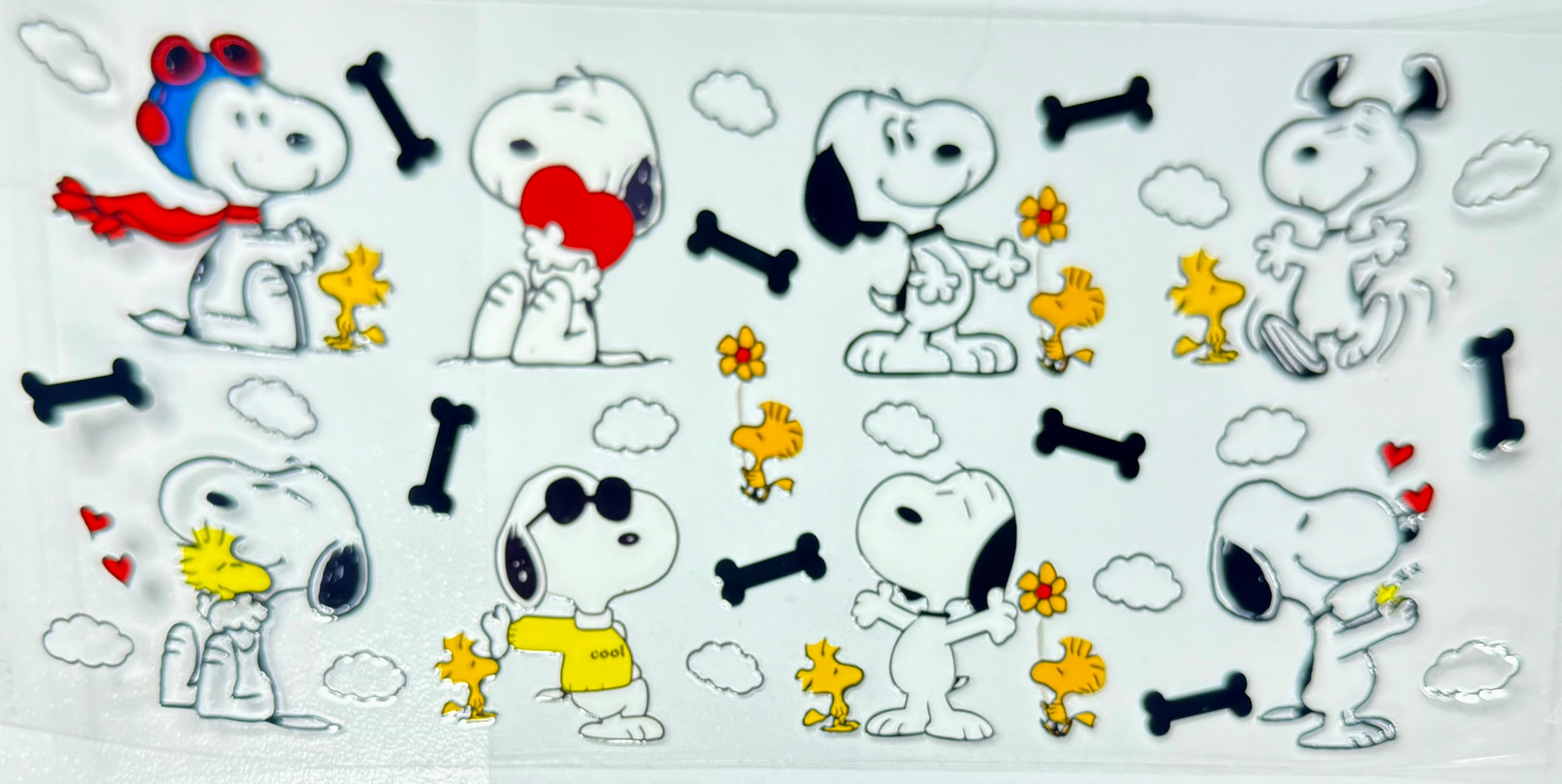 Cartoon Wraps