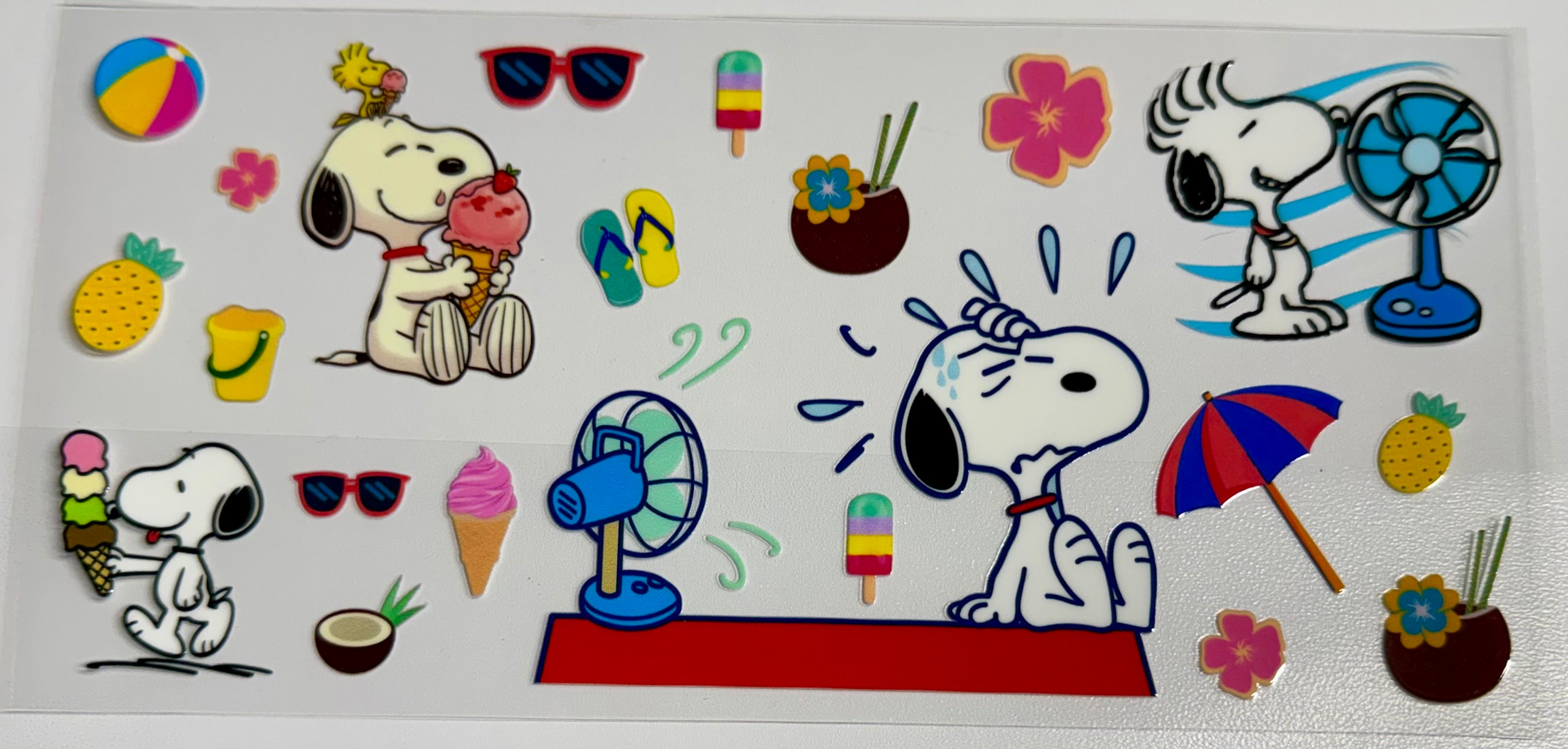 Cartoon Wraps