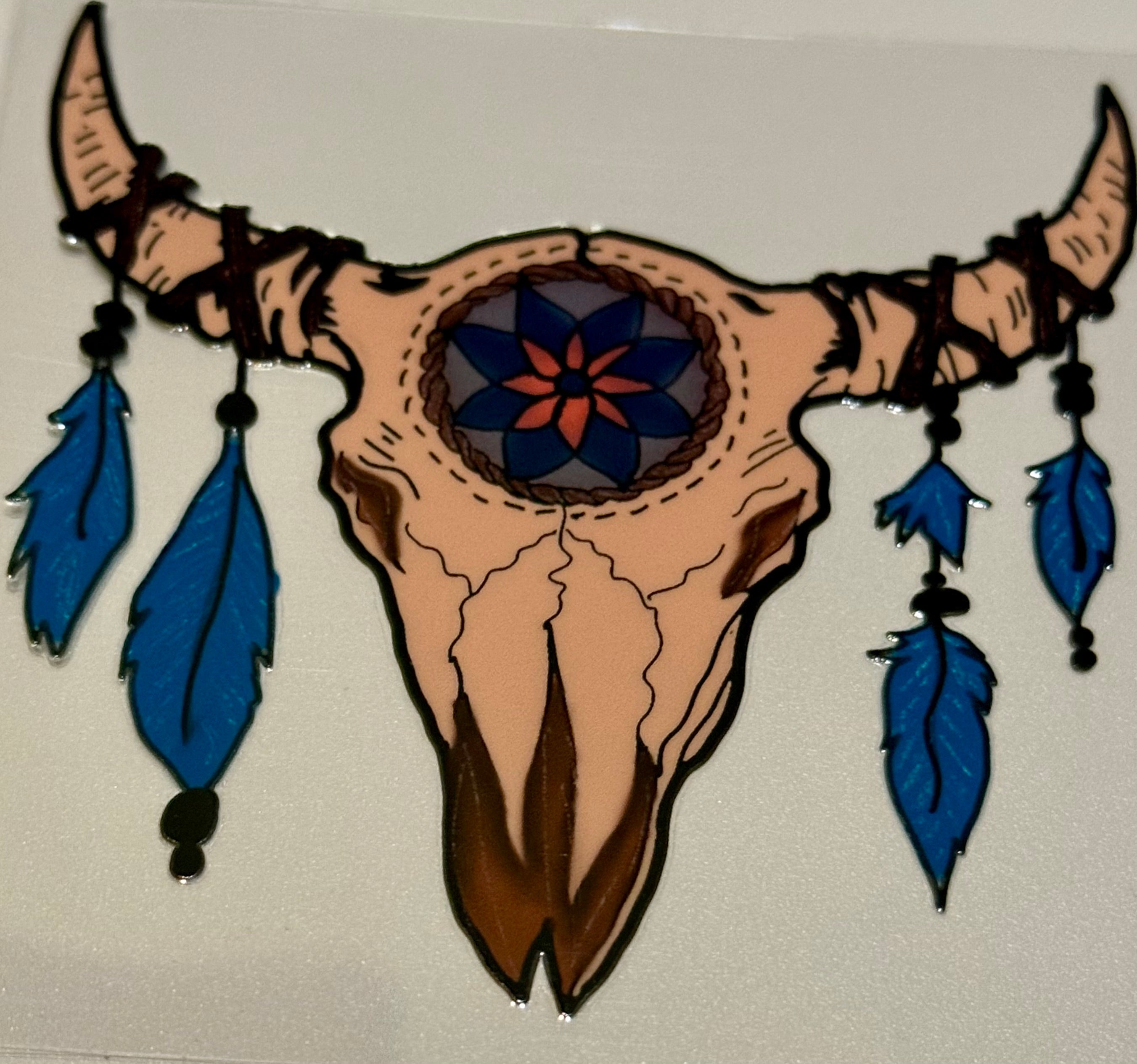 Indian Bull Skull