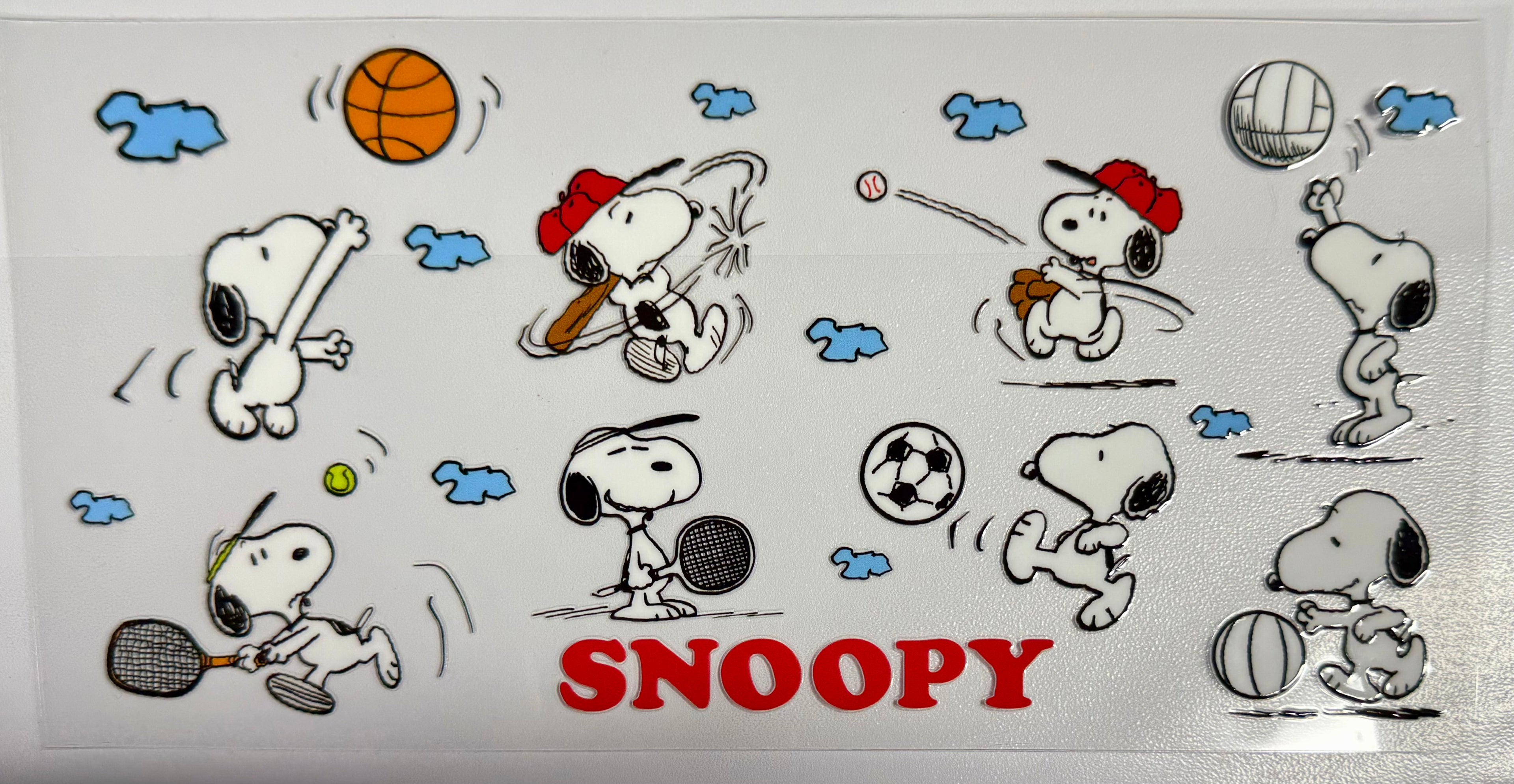 Cartoon Wraps