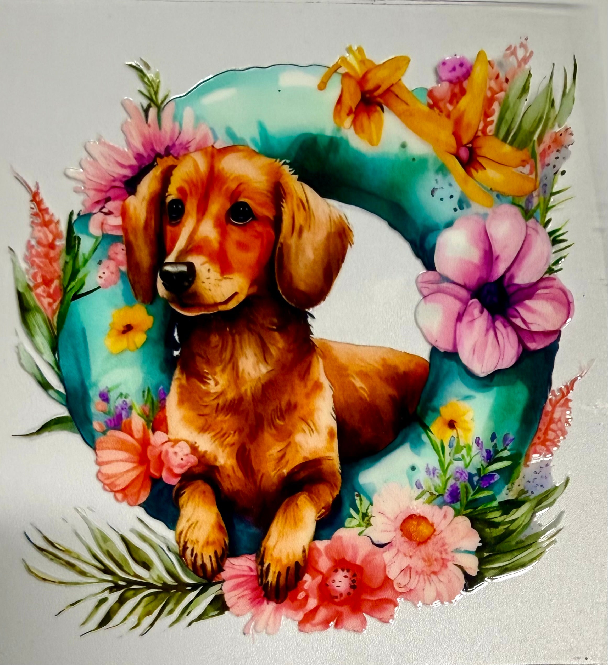 Animal Decals